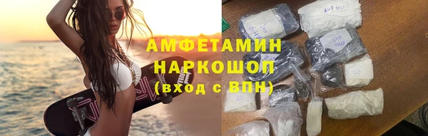 индика Алексин