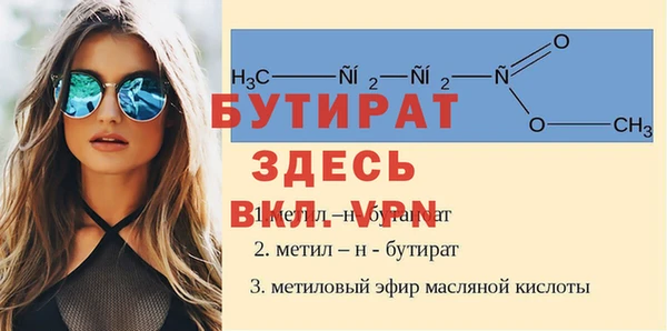 индика Алексин