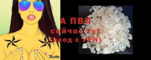 индика Алексин
