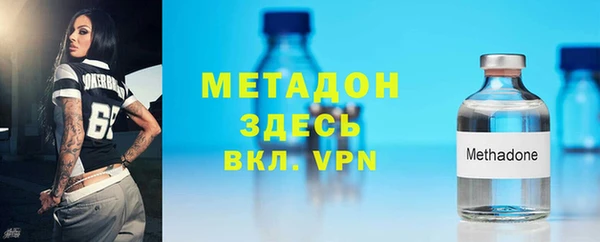 индика Алексин