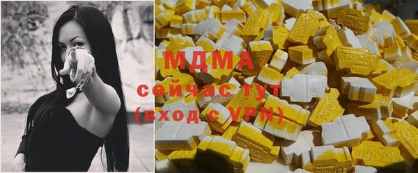 индика Алексин