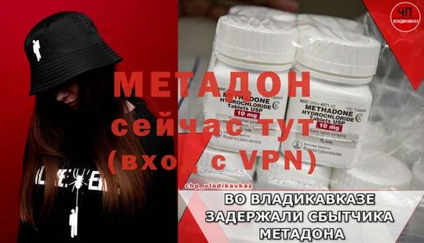 индика Алексин